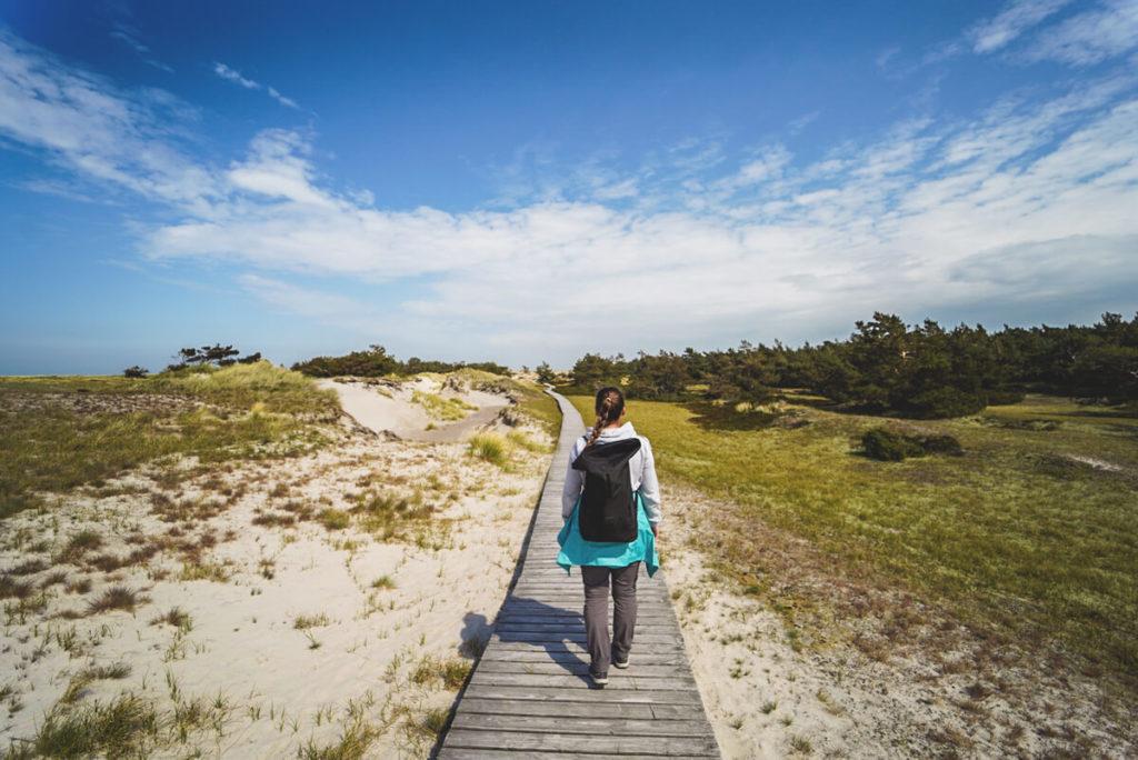 Ruta en bicicleta a través de Fischland con bosque, playa de ensueño y aldeas de pescadores