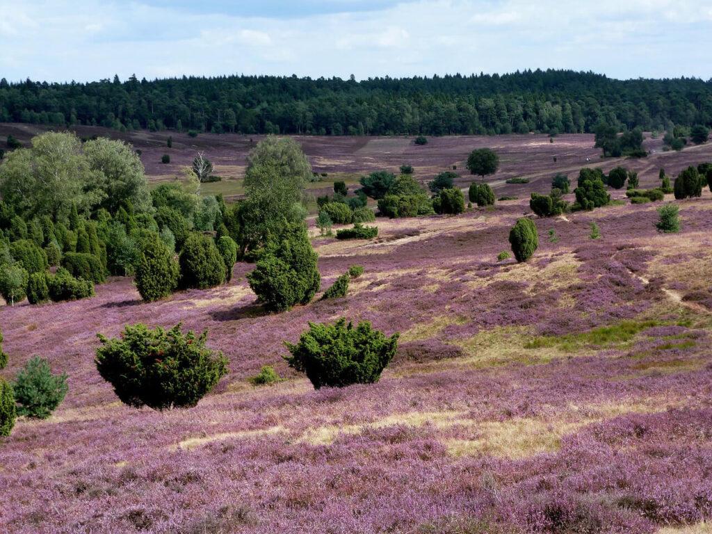 Maravillas naturales en Alemania - 15 increíbles aspectos destacados al aire libre