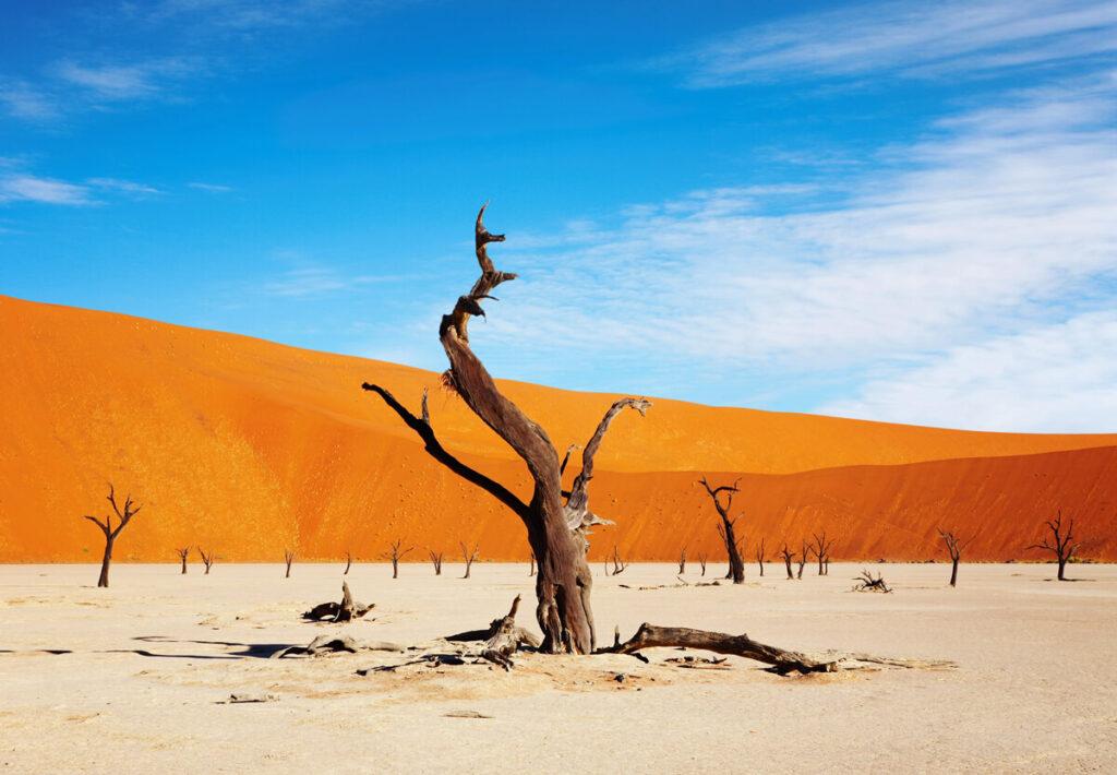 Mejor época para Namibia: mayo a octubre