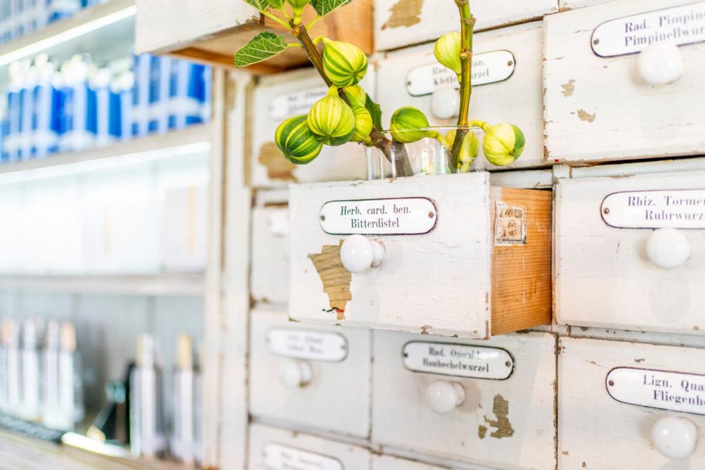 Bodega Babylonstoren