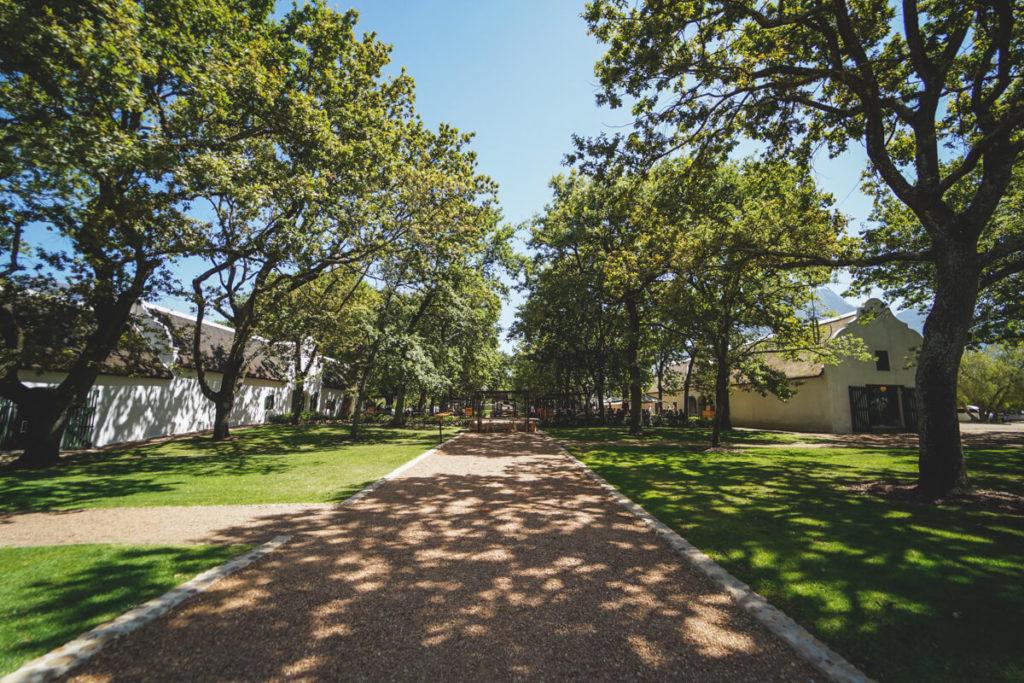 Bodega Boschendal Viñedos Sudáfrica