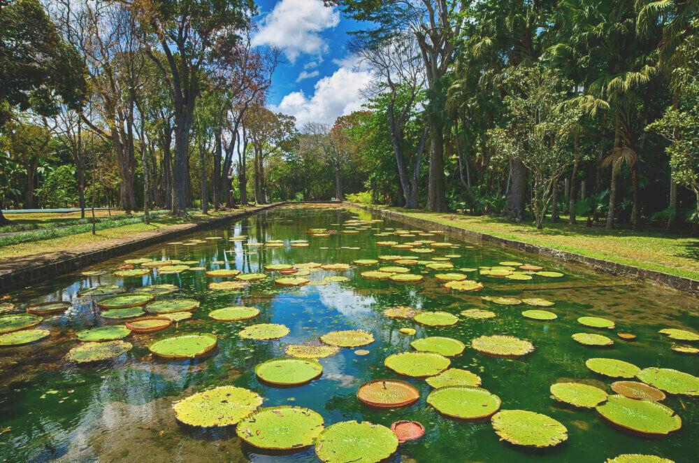 Jardín Botánico de Pamplemousses, Mauricio