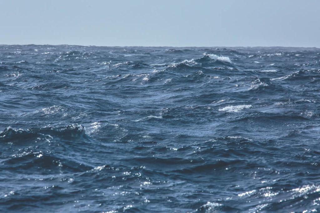 viaje-a-la-antartida-pasaje-drake-olas (1)
