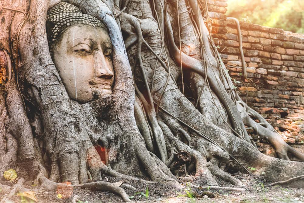 Atracciones de Tailandia Ayutthaya Buda Árbol