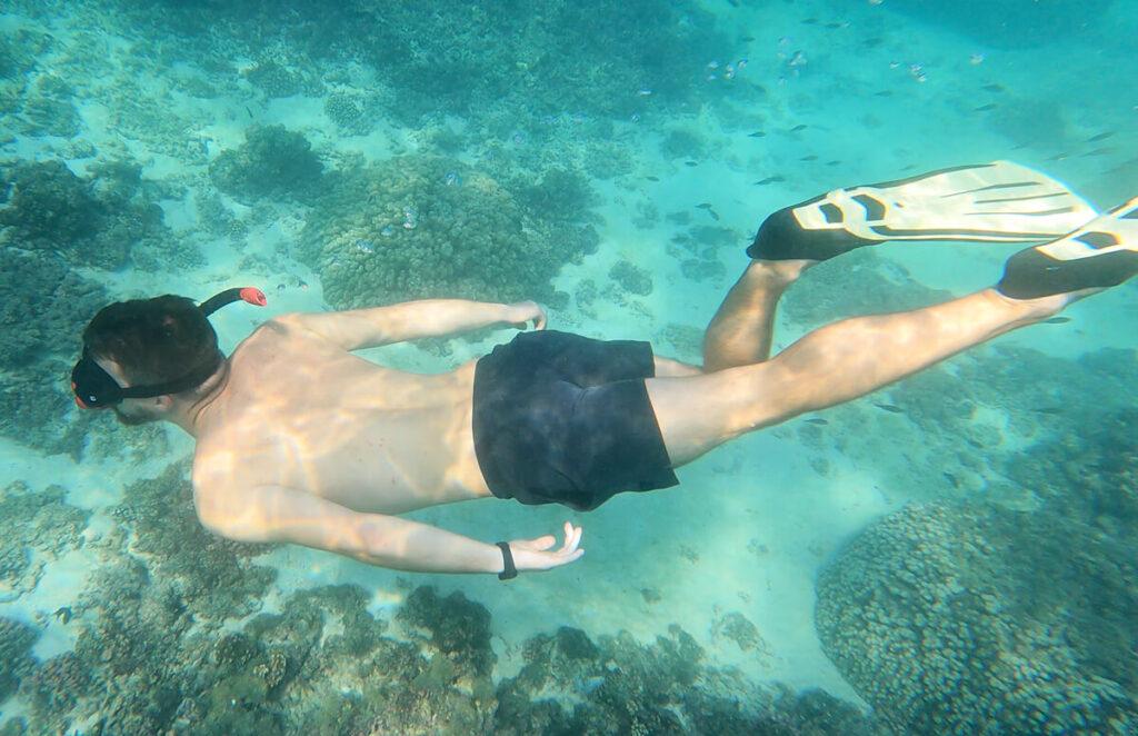 Tour Islas Daymaniat
