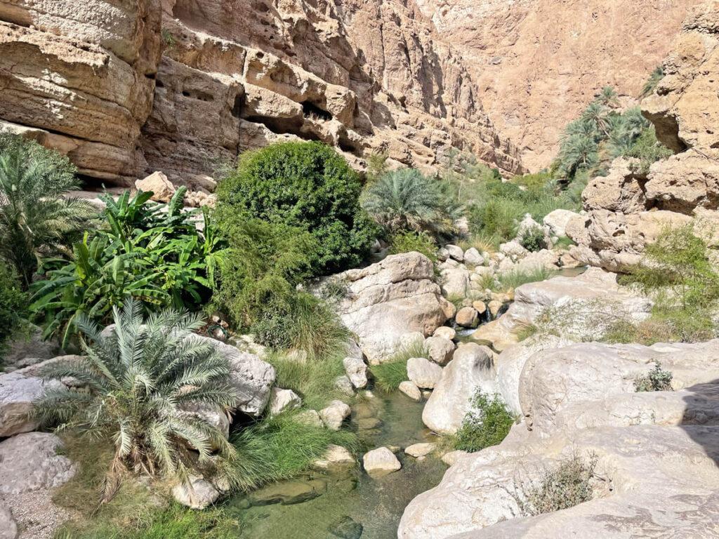 Wadi Shab