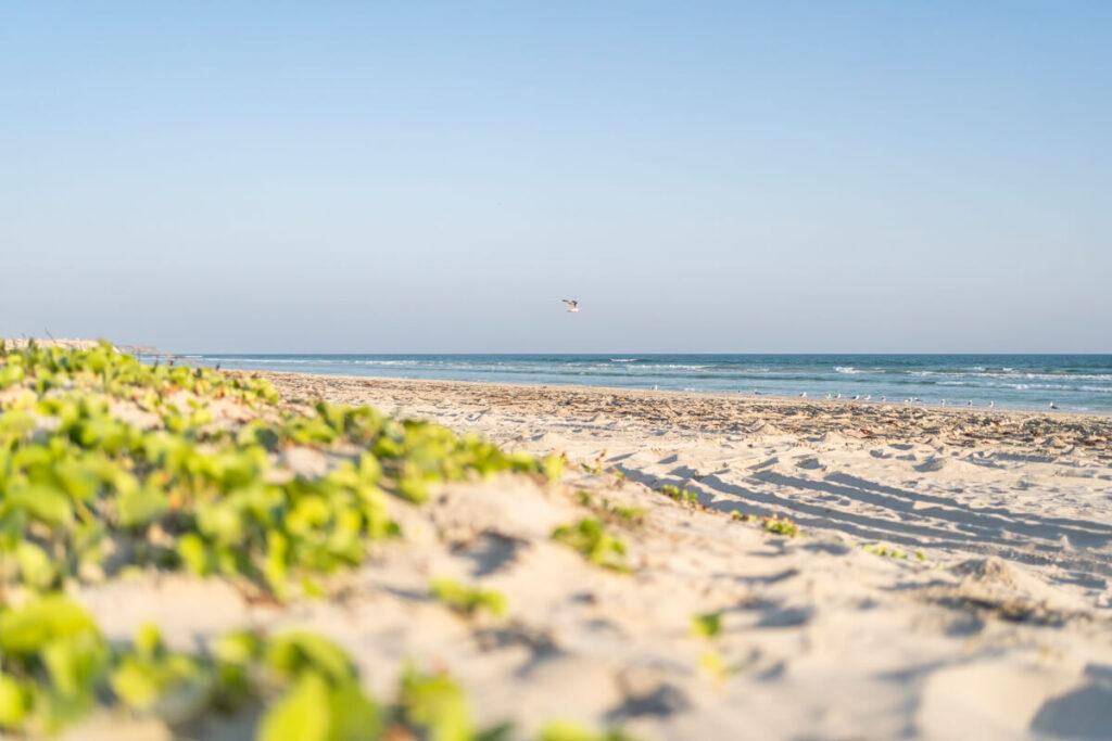 Playa Taqah