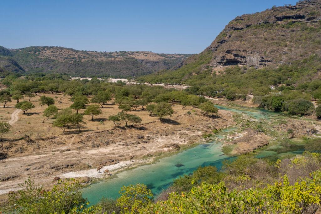Wadi Darbat