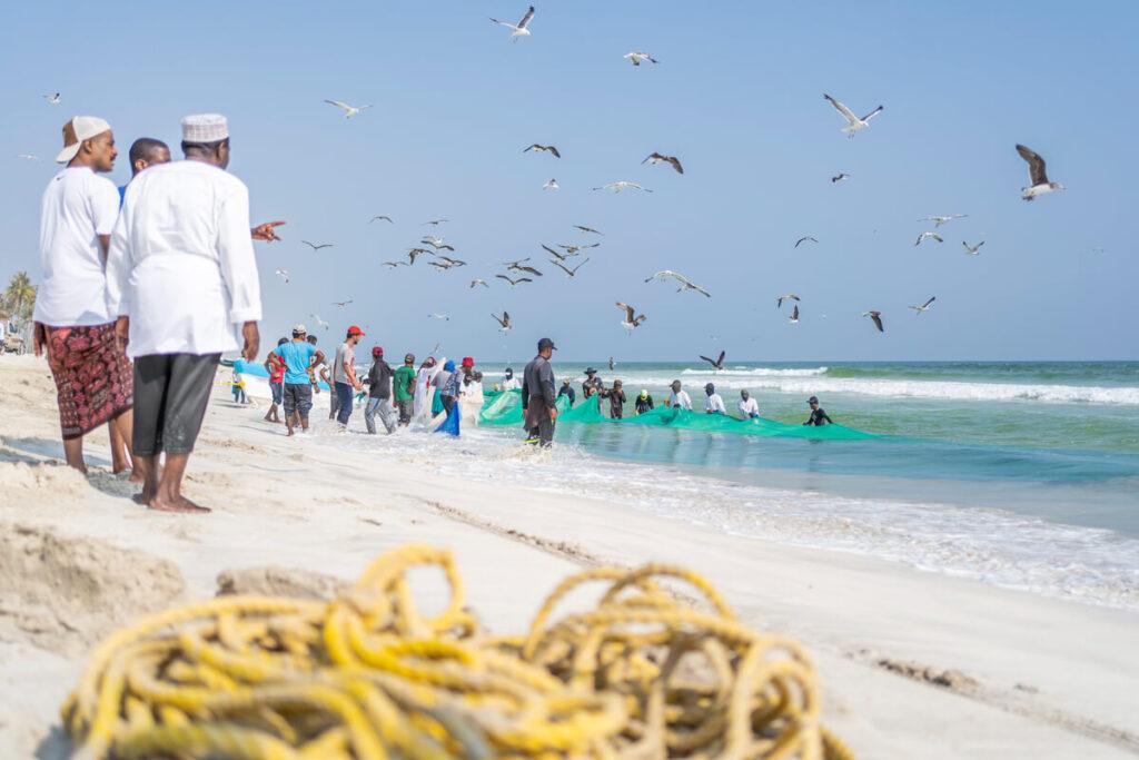 Playa Al Haffa Salalah en Omán