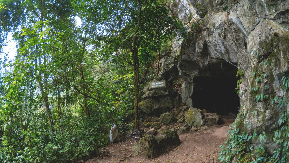 Lugares de interés en Vietnam Parque Nacional Cuc Phuong