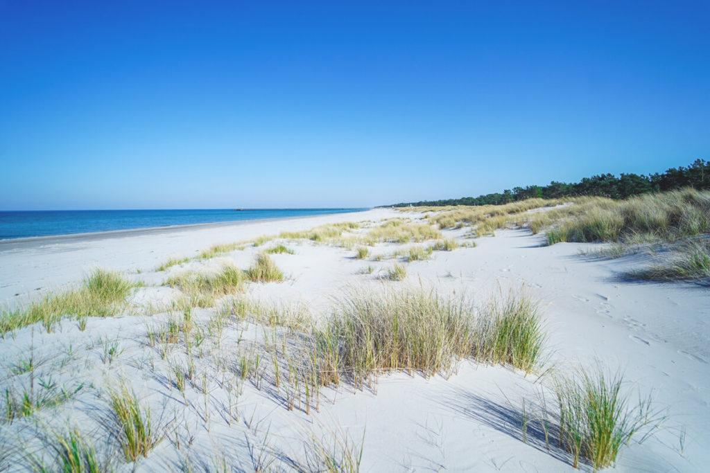 Lugares de vacaciones en el Mar Báltico - Seebad Prerow