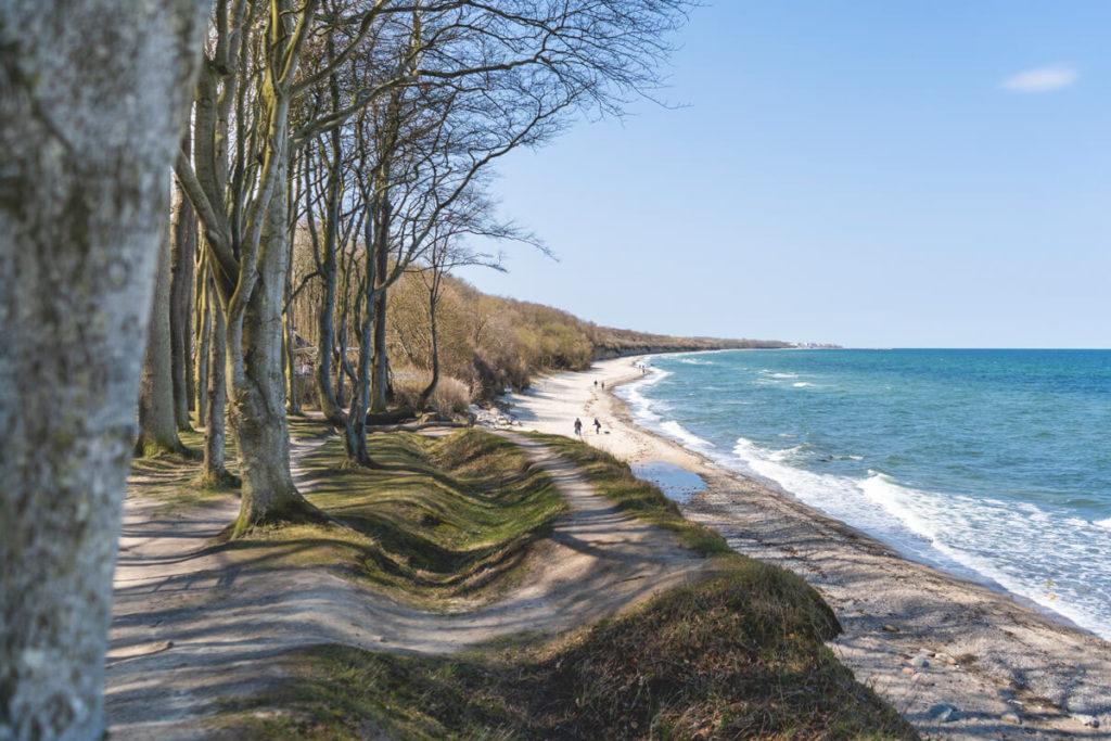 Ostseebad Heiligendamm Bosque de los Fantasmas Ruta Ciclista del Mar Báltico