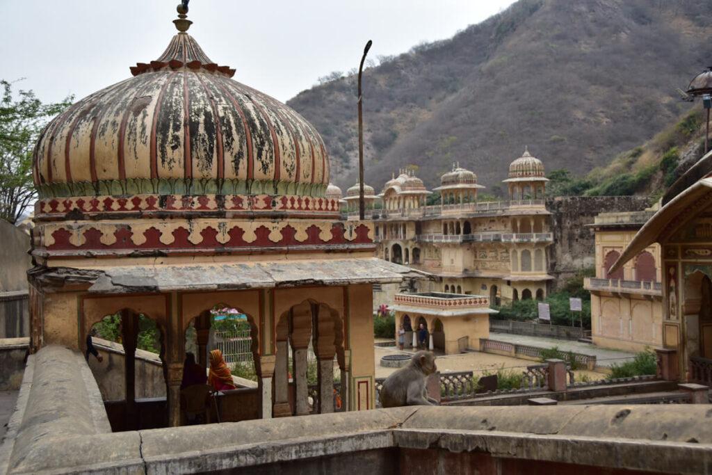 Templo de los monos Jaipur