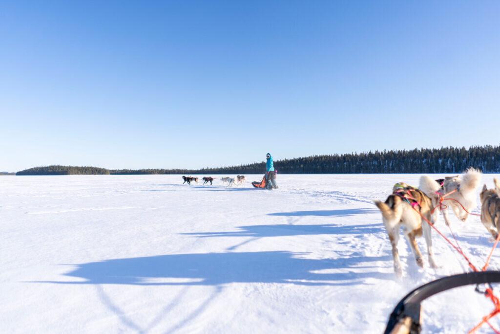 Tour con huskies O'Nordic