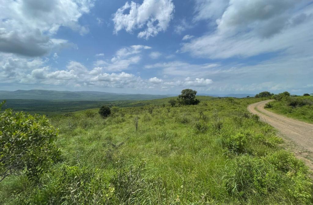 Hluhluwe iMfolozi Park