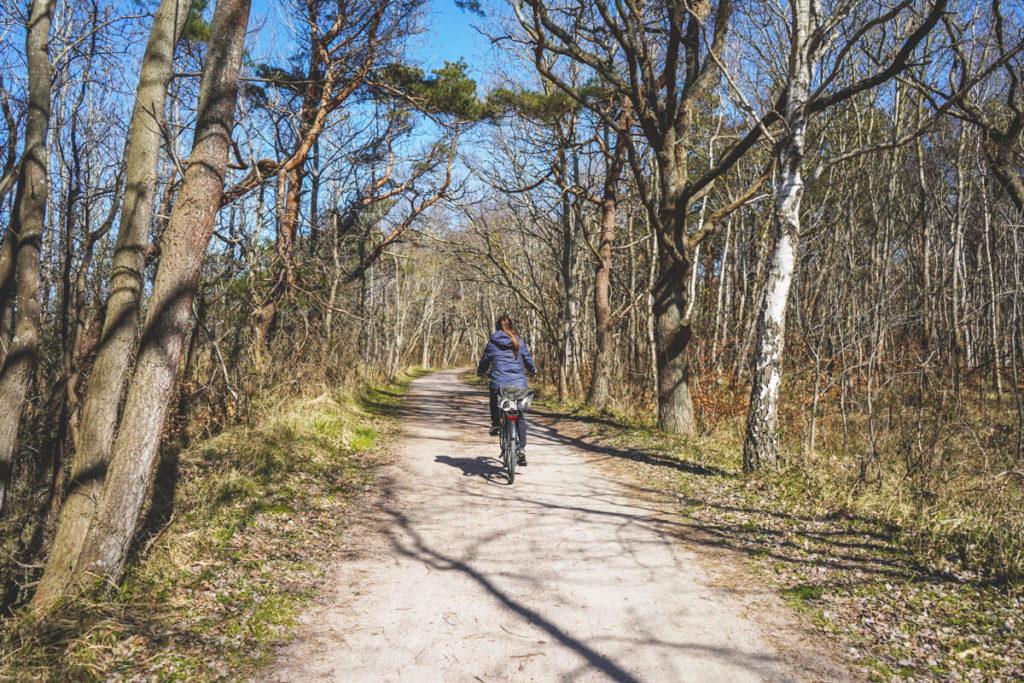 Ostseekuestenradweg-graal-mueritz-fahrradfahren