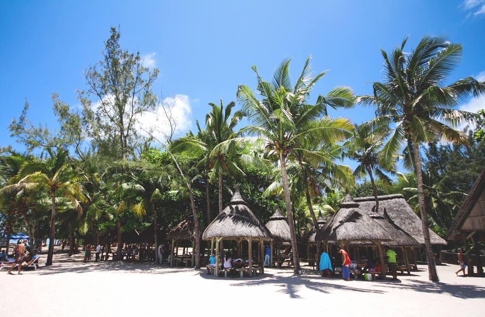 Île aux Cerfs Palmeras y Playa