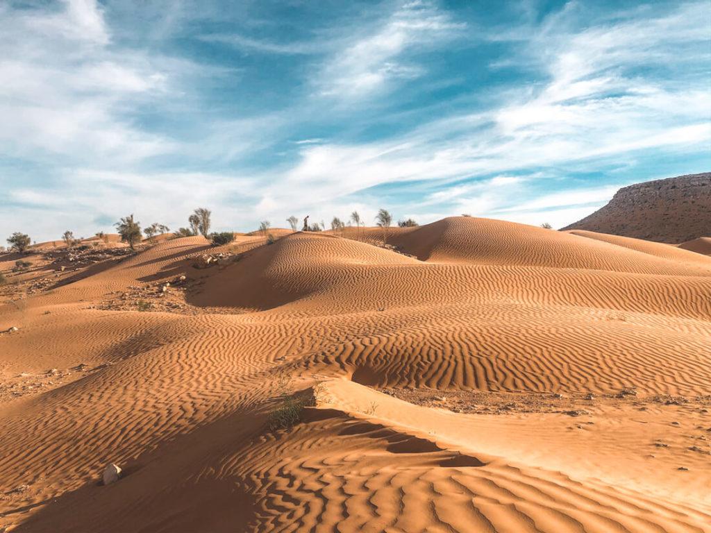 Túnez-Roundtrip-Wueste-Douz-Sahara