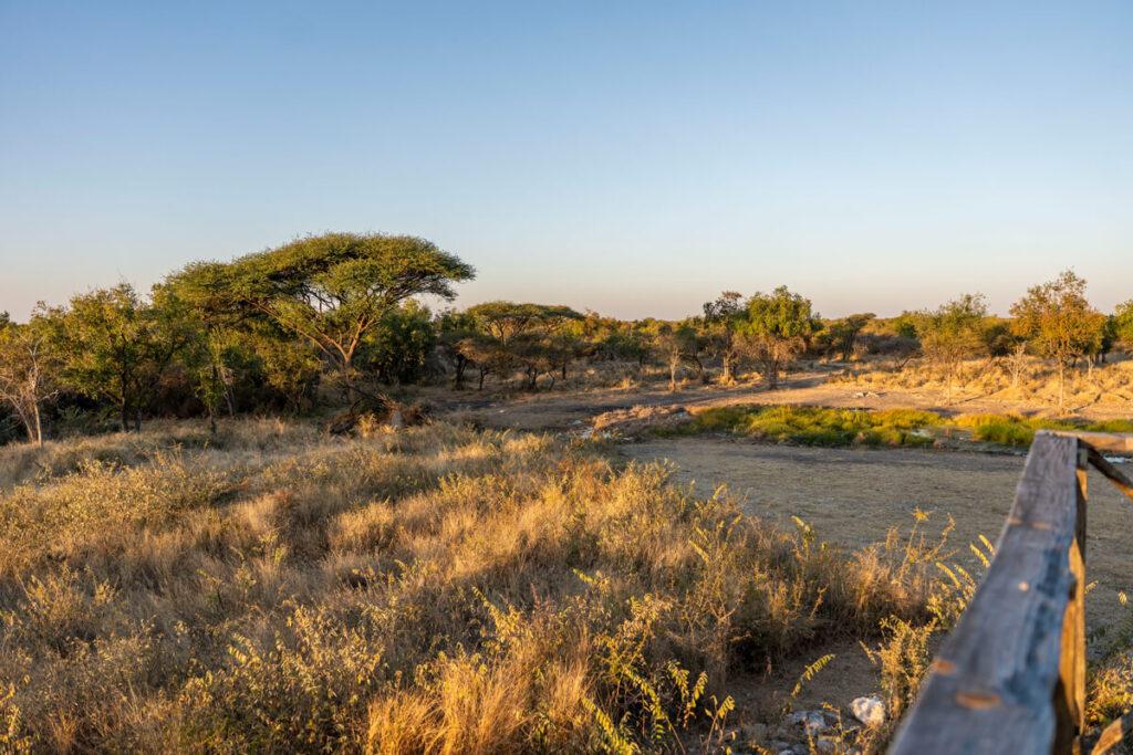 Tour de atardecer Mokuti Lodge Etosha