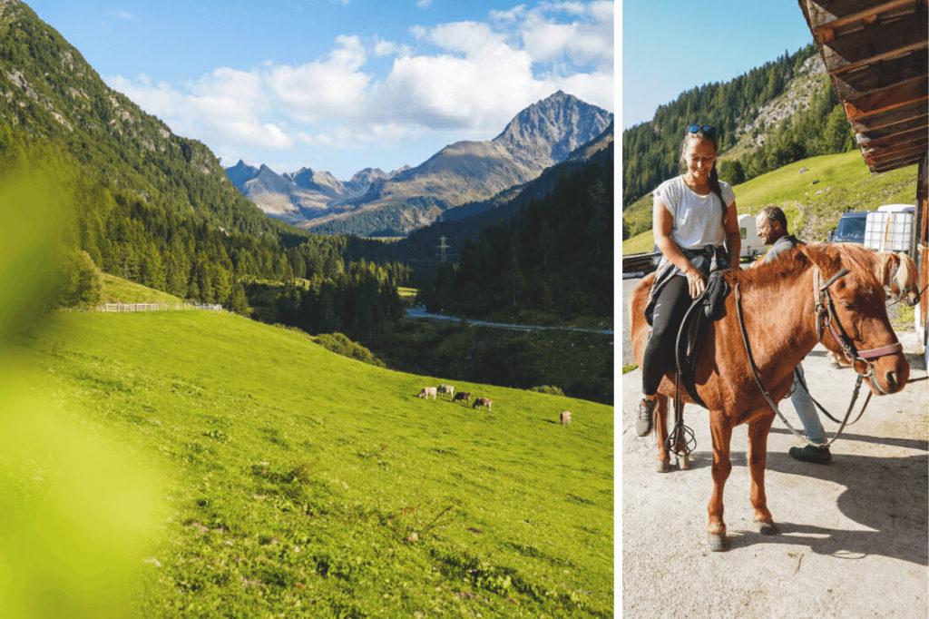 Innsbruck-actividades al aire libre-Trekking con caballos islandeses