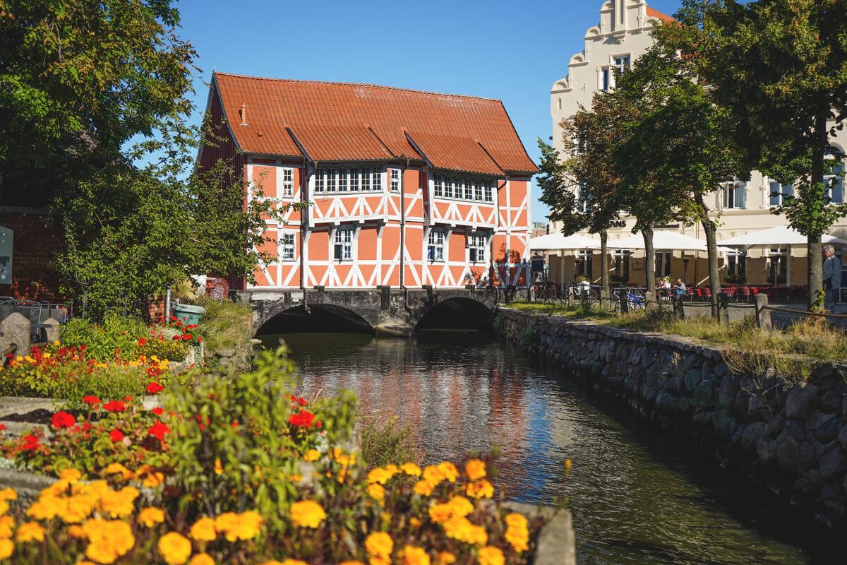 Wismar-Rote-Haus-Grube-Gewoelbe