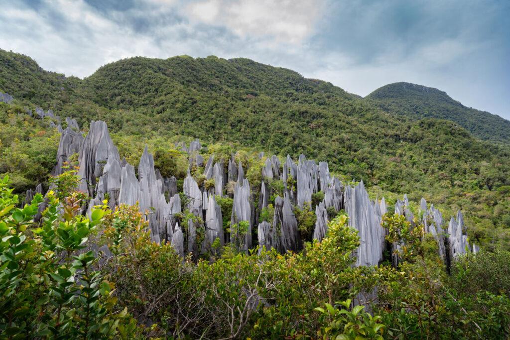 Gunung Mulu Nationalpark Borneo Malaysia