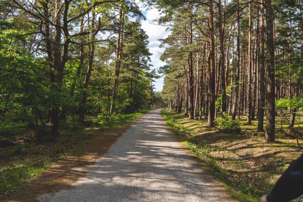 Parque-Nacional-Bodenlandschap-Vorpommersche-Fischland-Darss