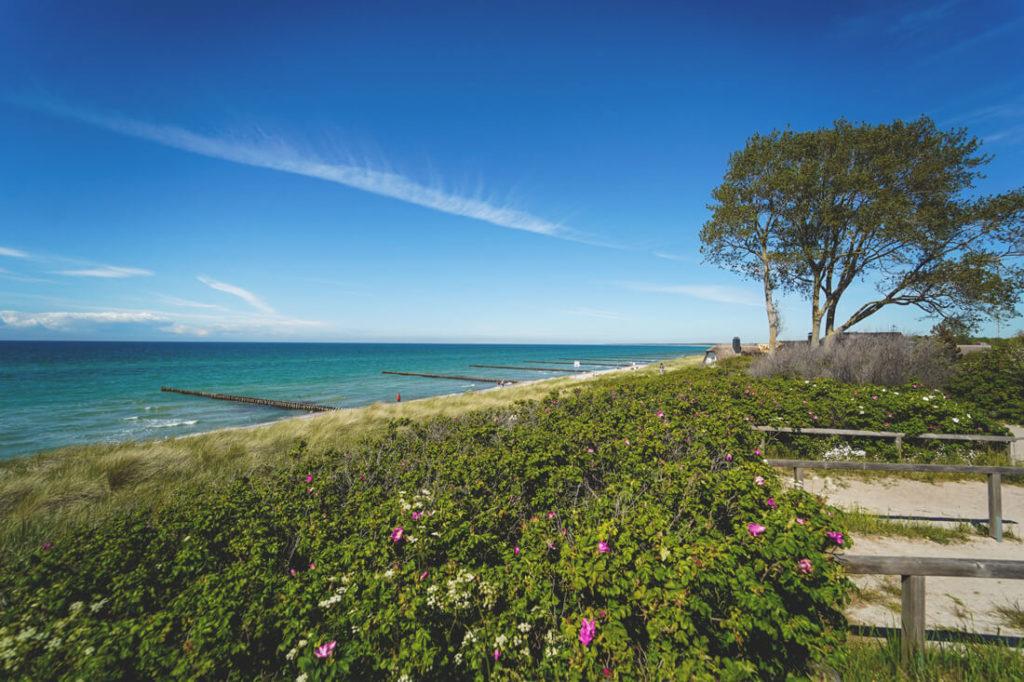 Vista de la playa de Ahrenshoop - Camino hacia el alto acantilado