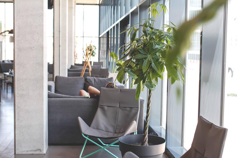 dock-inn-warnemuende-container-hostel-lobby