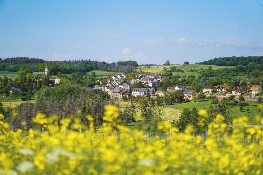 Traumschleife Wein- und Naturpfad Palmberg Ahn Wandern