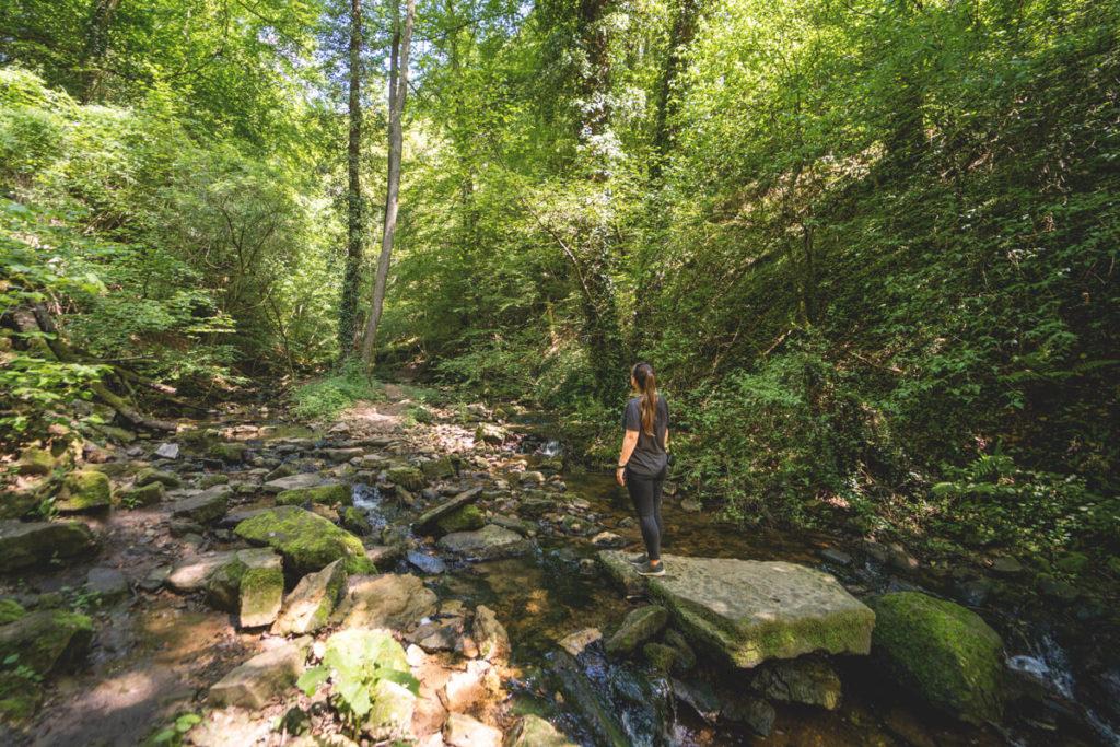 Wanderung Palmberg Ahn Traumschleife Donverbachtal Fluss