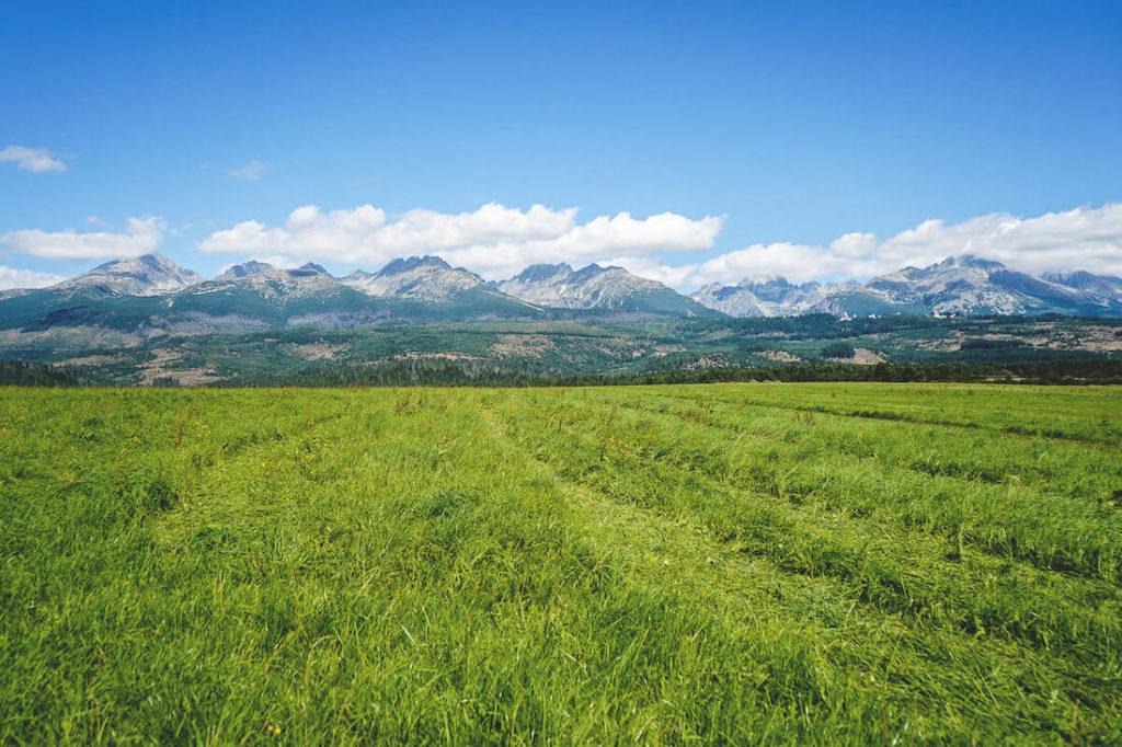 En camino a Štrbské Pleso en los Altos Tatras
