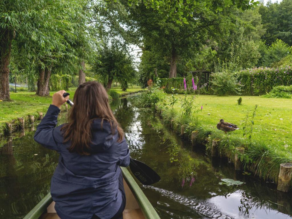 Excursión acuática en Brandeburgo, Wurlfließ y canoa