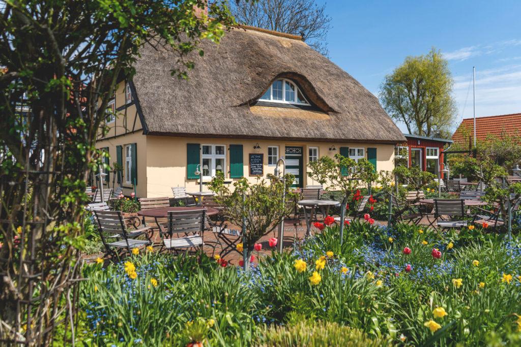 Fischland-Darss-Ostseebad-Zingst-Café-Jardín-de-rosas