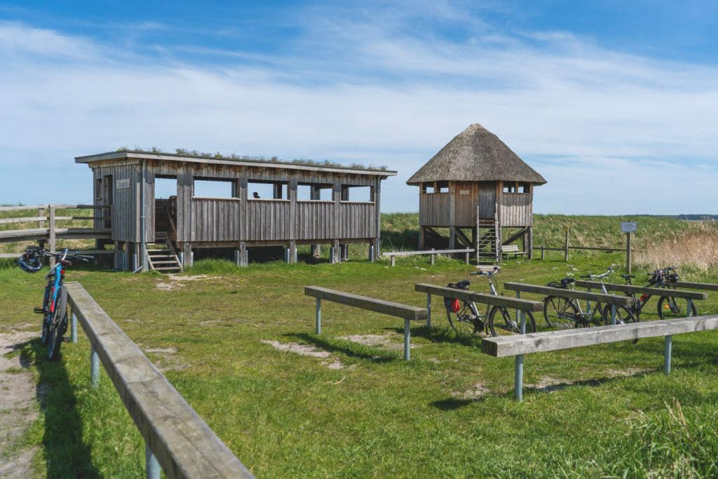 Pramort-punto-de-observación-Fischland-Darss