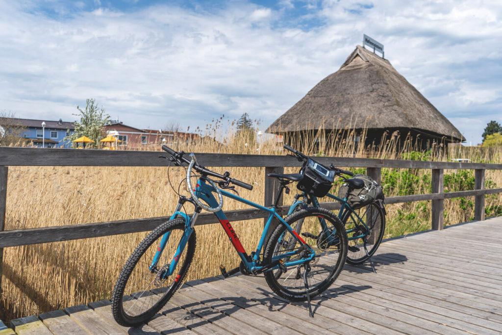 Ostseebad-Zingst-alquiler-de-bicicletas