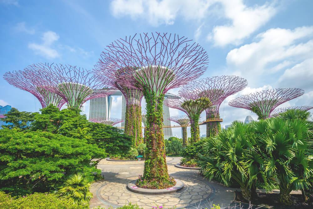 Atracciones de Singapur Gardens by the Bay Supertree