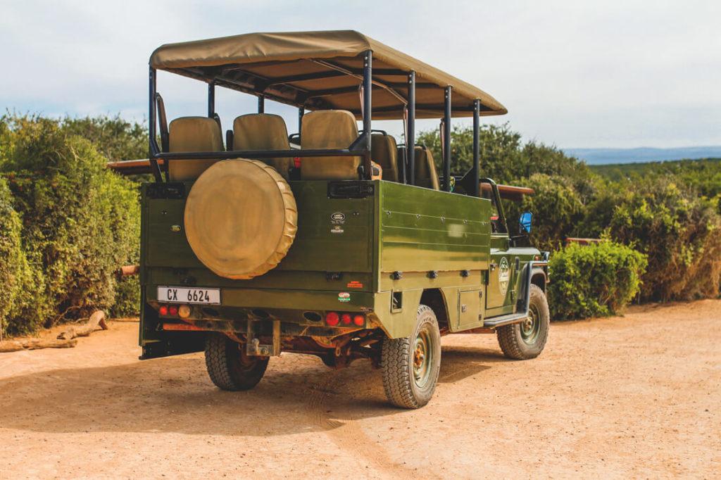 Tour en jeep del Addo Elephant Park