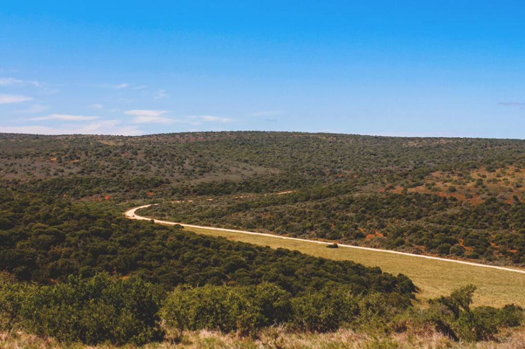 Punto de vista en el Addo Elephant Park