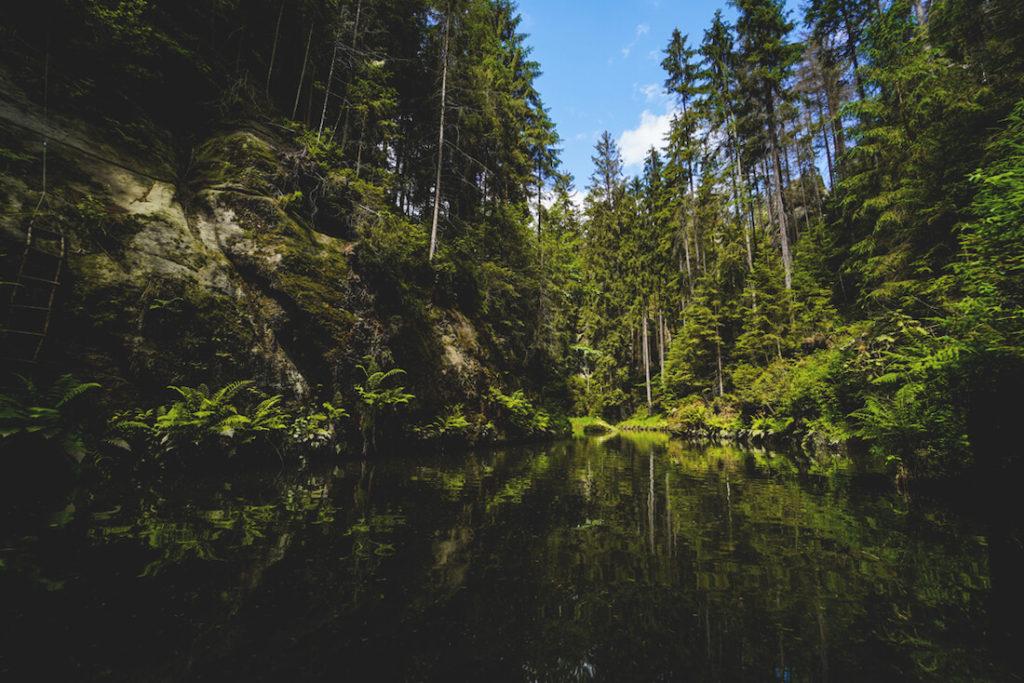 Obere-Schleuse-Kahnfahrt-Barco-Kirnitzsch