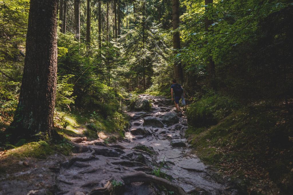 Suiza-Sajona-Wilde-Hölle-Caminatas