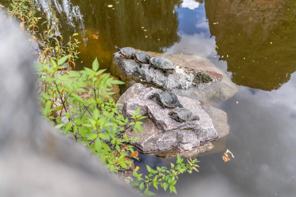 Parque Schöntal Aschaffenburg
