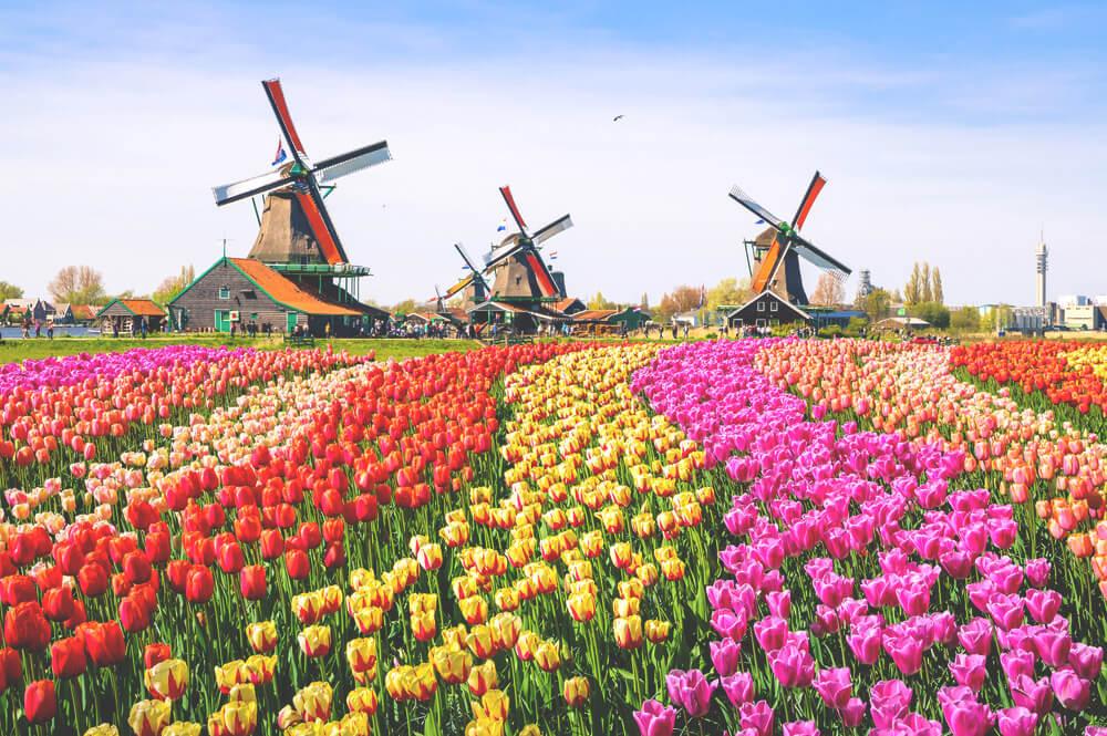 Roadtrips en Europa Ámsterdam Zaanse Schans