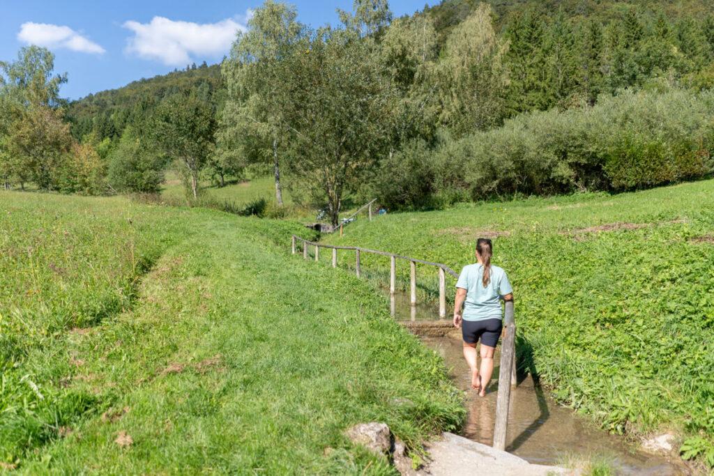 Sendero de pie de Tieringen