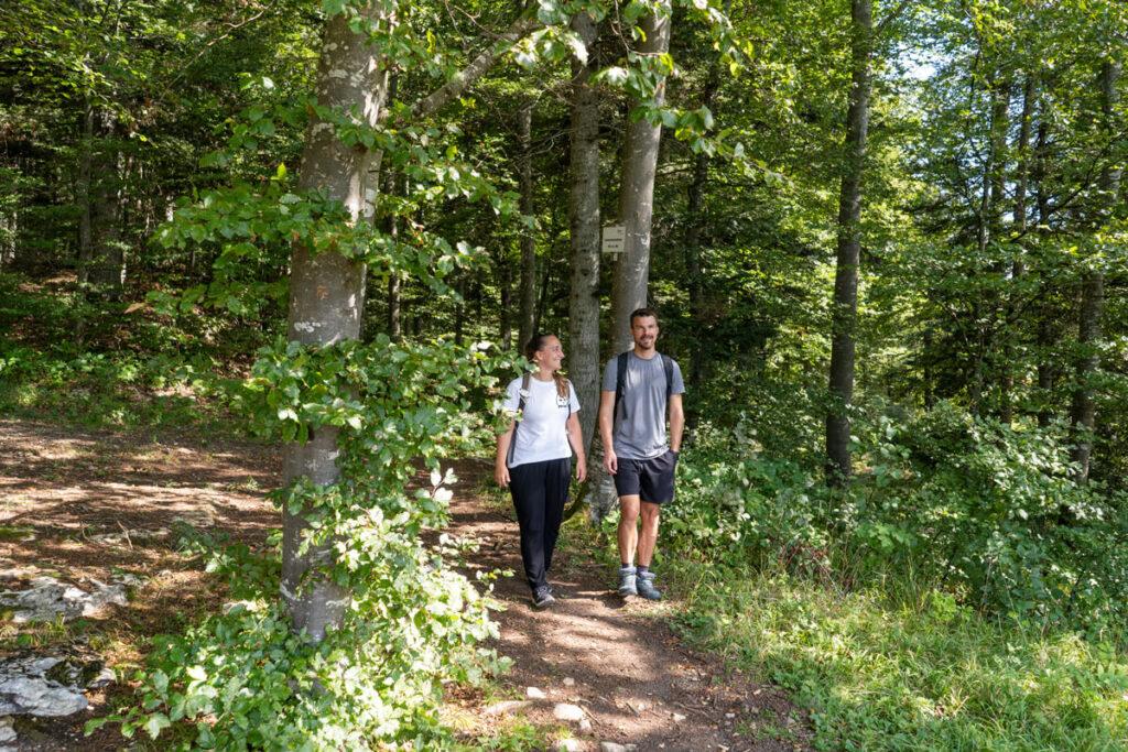 Sendero HochAlbPfad Felsquellweg