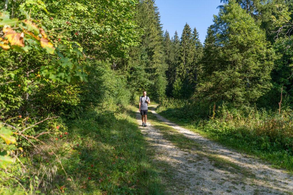Sendero HochAlbPfad Felsquellweg