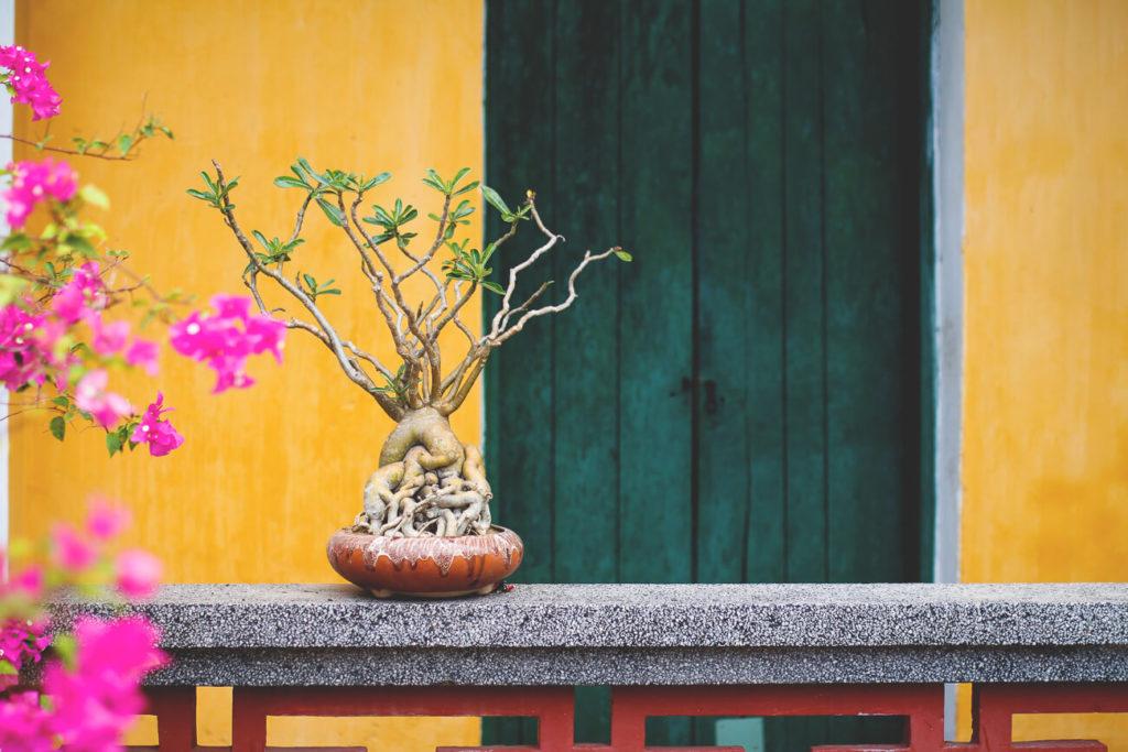Casco antiguo en Hoi An
