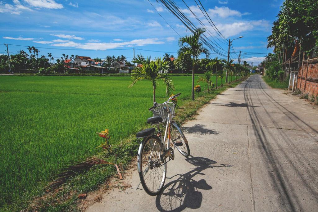 Hoi An en Vietnam Bicicleta Campos de Arroz