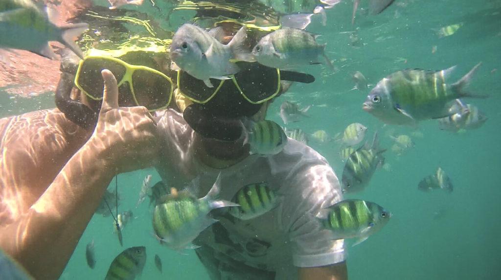 tour-4-islas-krabi-tailandia-s snorkeling