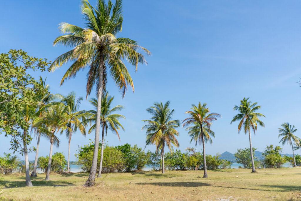 Koh Yao Yai Tailandia